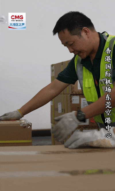 勇立潮头大湾区 | 莞港联动，“一站式”通关助力“湾区制造”直飞全球_fororder_15