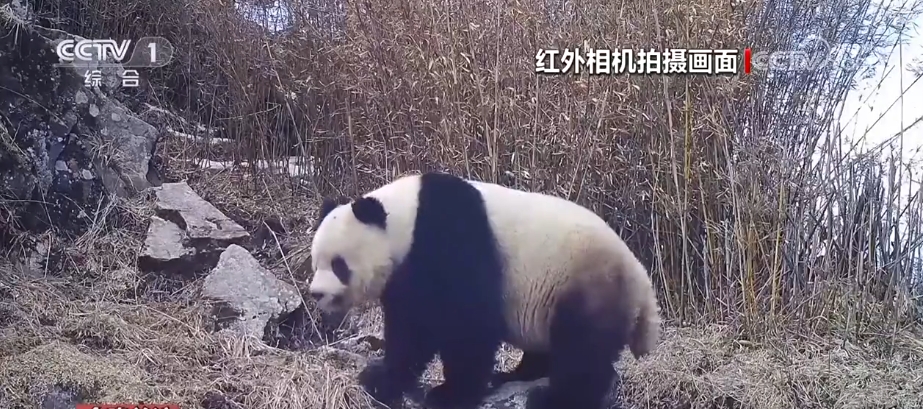 从“这一天”变为“每一天” 美丽中国新画卷徐徐展开