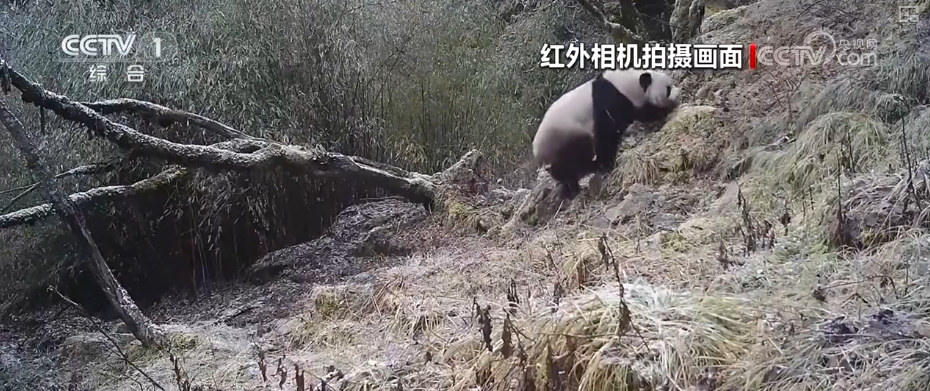 从“这一天”变为“每一天” 美丽中国新画卷徐徐展开