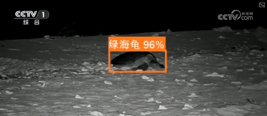 从“这一天”变为“每一天” 美丽中国新画卷徐徐展开