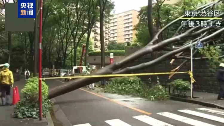 受台风“安比”影响 日本首都圈多地有人员受伤