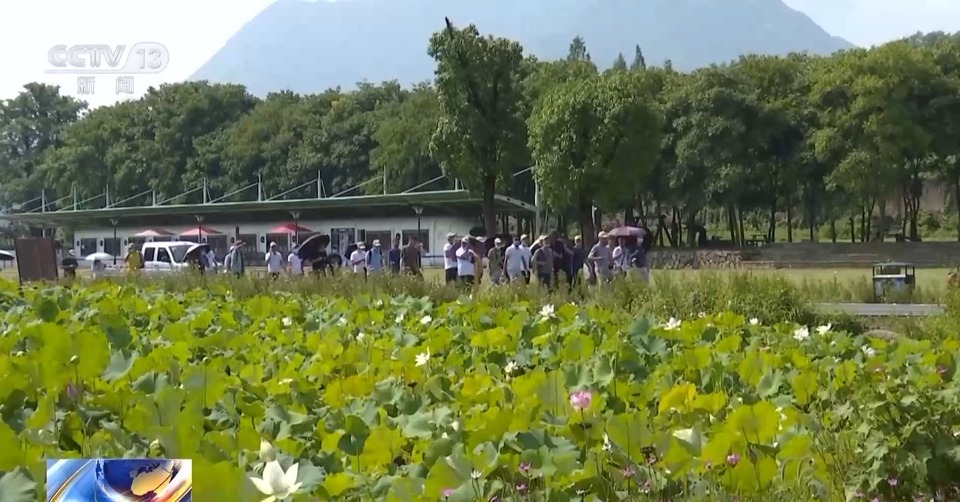 画里乡村→国际乡村！文旅赋能 乡村新产业新业态竞相涌现
