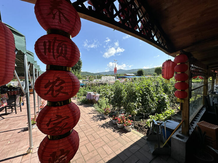 @广大游客 到黑龙江省伊春市来场不一样的“forest walk”