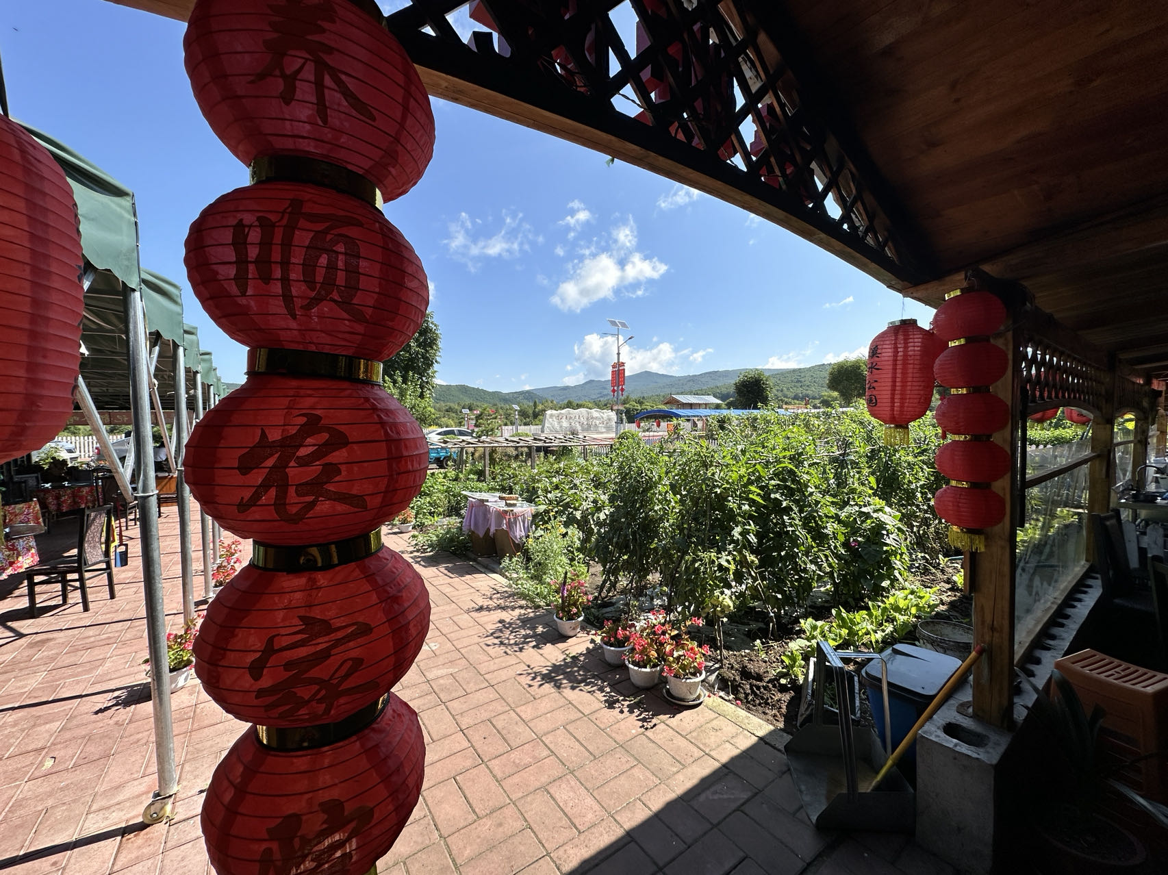 @广大游客 到黑龙江省伊春市来场不一样的“forest walk”
