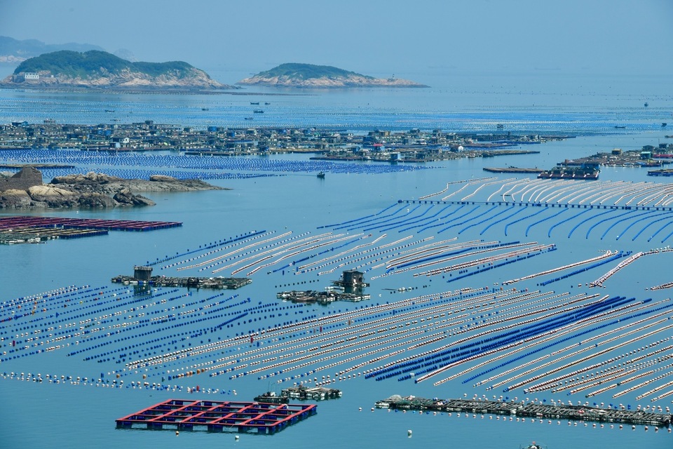 连江黄岐半岛海域：福州新增一处国家级海洋牧场_fororder_6a40abfea579449db1fdf7c048e9942c