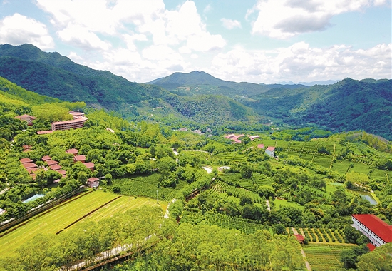 雁南飞：梅县践行“两山”理论的积极探索