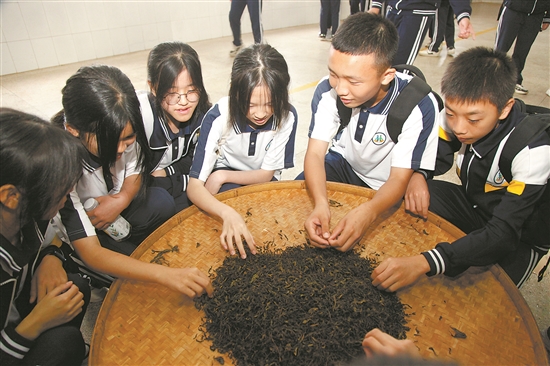 雁南飞：梅县践行“两山”理论的积极探索