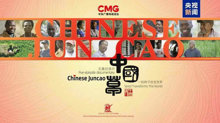 连结中非的“幸福草”！总台纪录片《中国草》即将播出