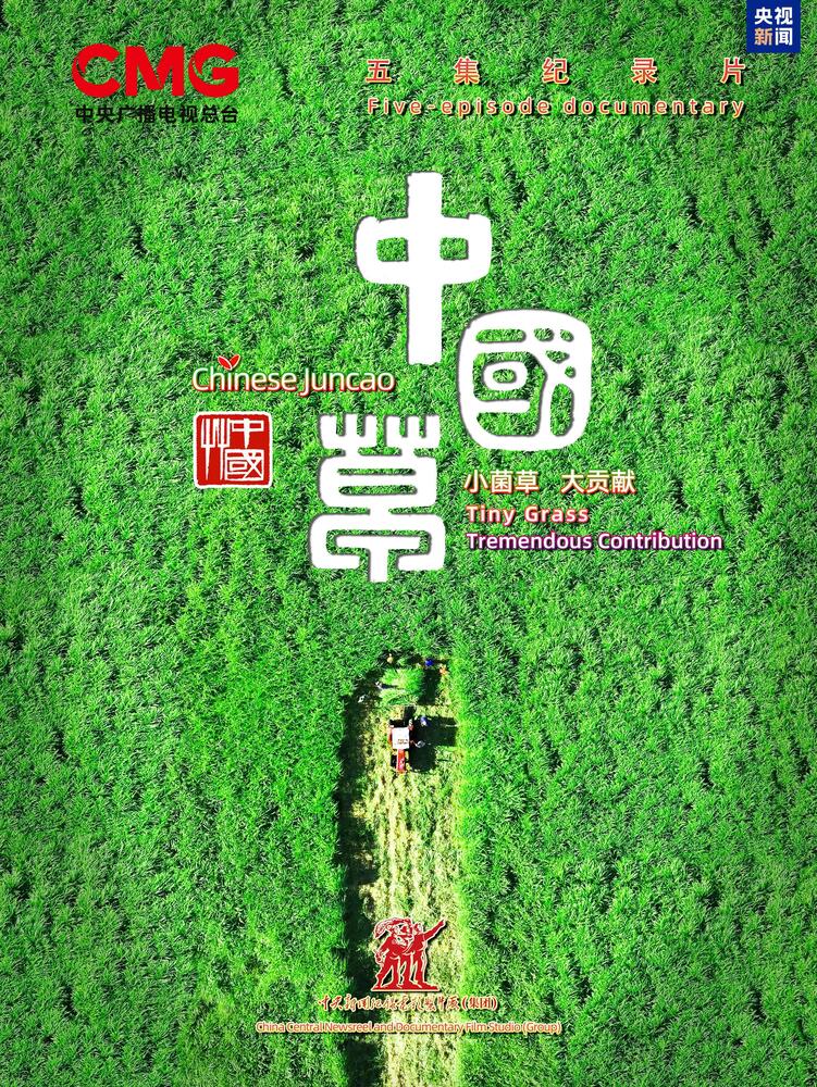 连结中非的“幸福草”！总台纪录片《中国草》即将播出