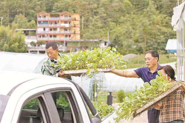 重庆：告别“好山好水好无聊” 让“冷资源”变成“热经济”