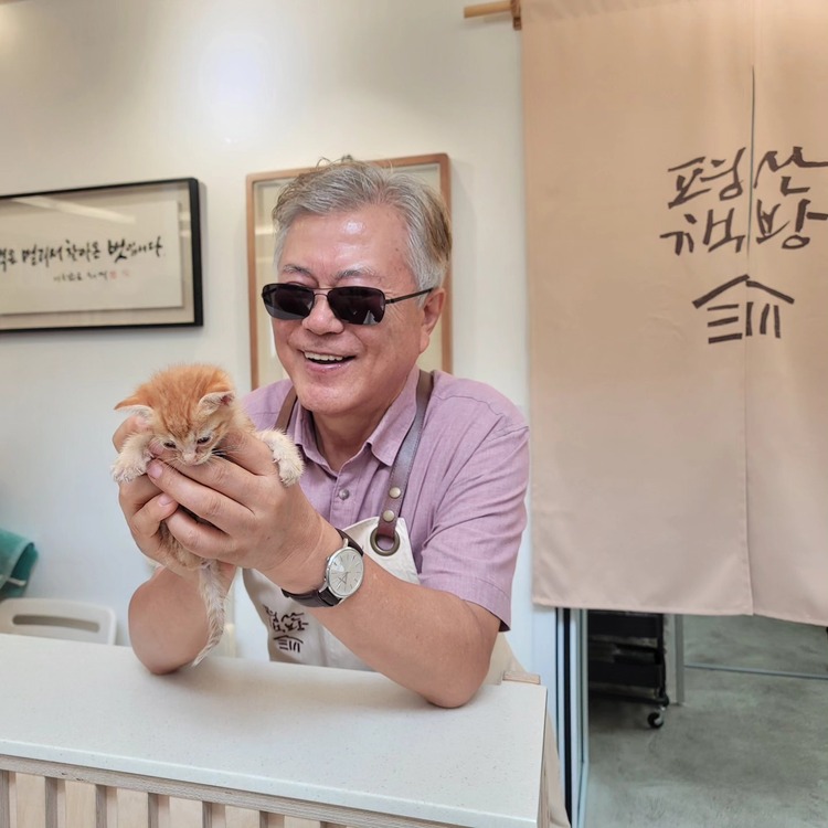 文在寅晒出乡下养老生活：撸猫喂孔雀 打理书店 下地挖出一大盆土豆