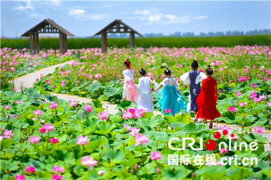 宁夏生态治理成果显著 昔日荒漠变绿洲_fororder_126be8fe38ea4f648094caf5a2d253b8