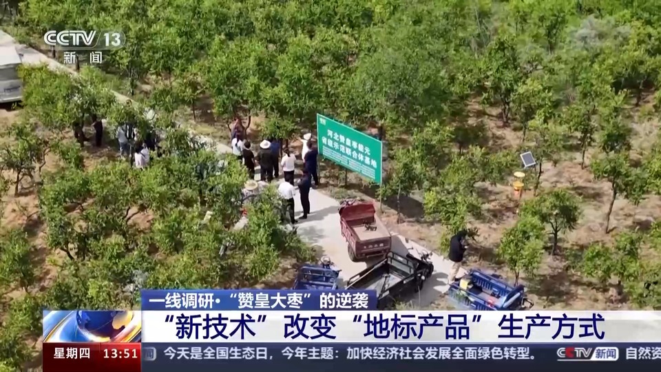“赞皇大枣”的逆袭！“新技术”改变“地标产品”生产方式