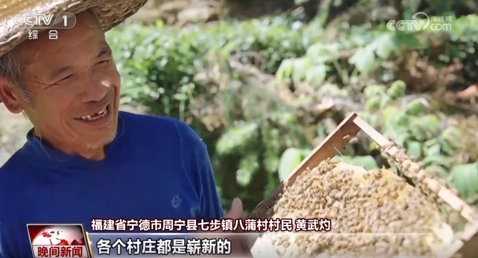 通过一组数字感受绿色发展正提速 政策“组合拳”为高质量发展厚植绿色底色
