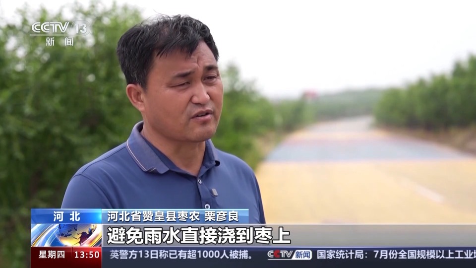 “赞皇大枣”的逆袭！“新技术”改变“地标产品”生产方式