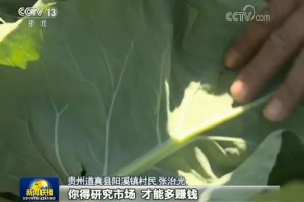 牢记总书记教导:贵州“一减一增”推进农业供给侧改革