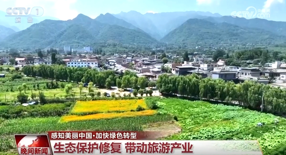 通过一组数字感受绿色发展正提速 政策“组合拳”为高质量发展厚植绿色底色