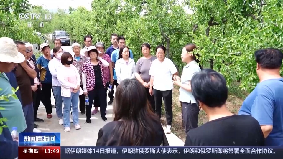 “赞皇大枣”的逆袭！“新技术”改变“地标产品”生产方式