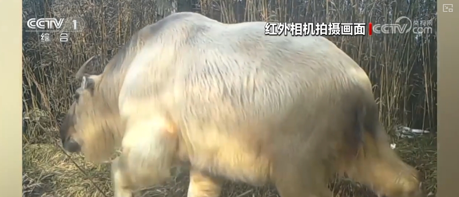 从“这一天”变为“每一天” 美丽中国新画卷徐徐展开