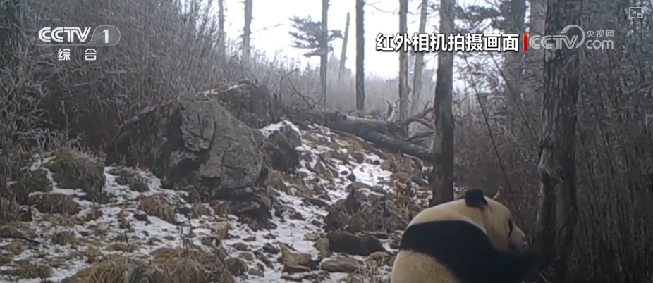 从“这一天”变为“每一天” 美丽中国新画卷徐徐展开