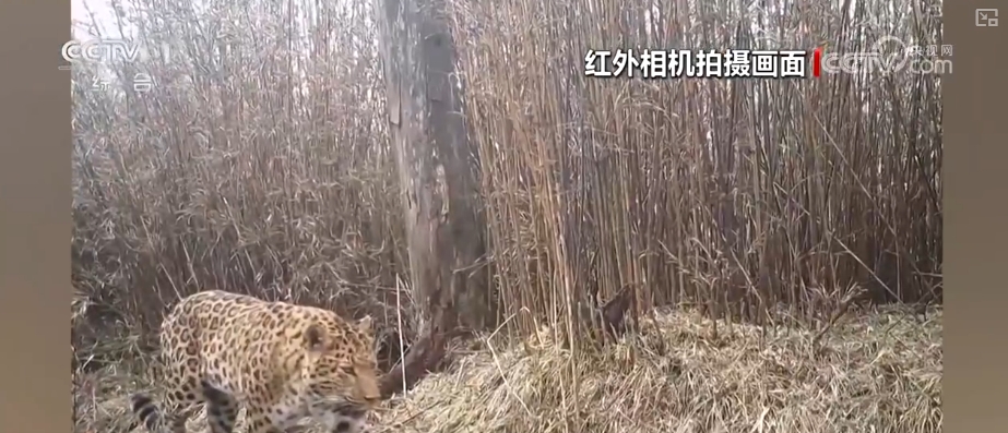 从“这一天”变为“每一天” 美丽中国新画卷徐徐展开