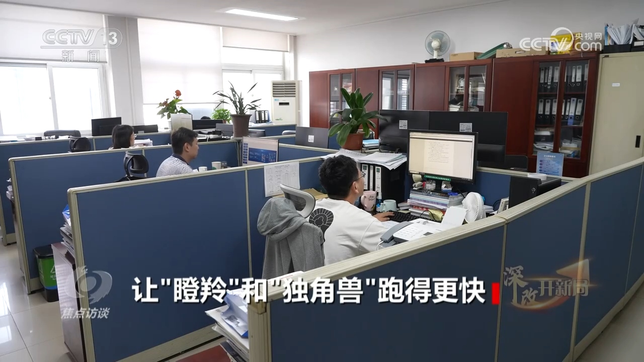 焦点访谈：深改开新局 让“瞪羚”和“独角兽”跑得更快