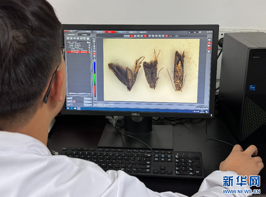 劳动者之歌 | 蒋红波：从田野到实验室 用科技守护国门生物安全