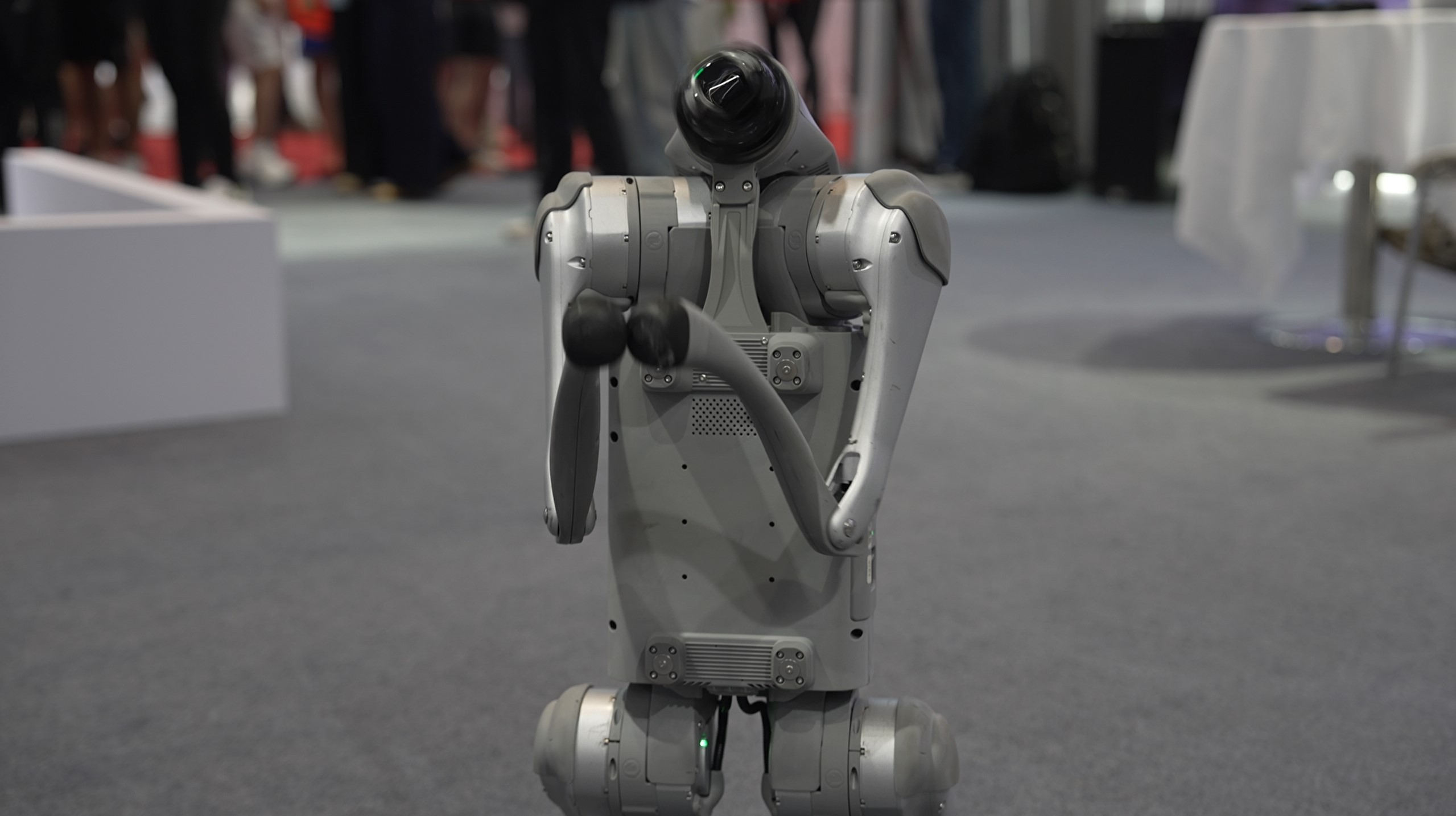 会摊煎饼的机器人、康复训练机器人......2024世界机器人大会亮点纷呈