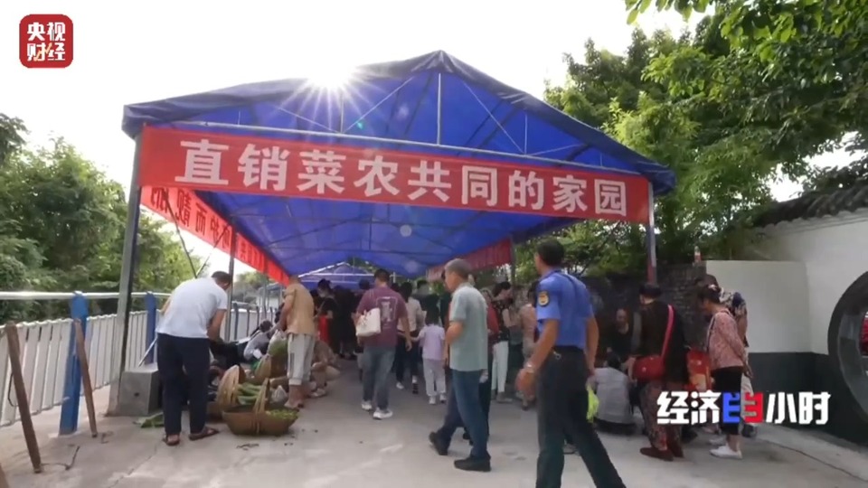 坐着地铁去卖菜！重庆“背篓专线”载着一座城的温暖