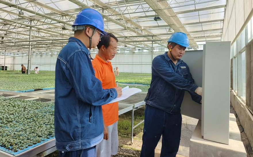 State Grid Xuchang Power Supply Company Guarantees High-Quality Development of Seed Industry with Precise Services_fororder_图片2