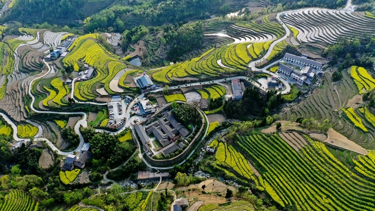 走进凤堰梯田 邂逅“诗与远方”