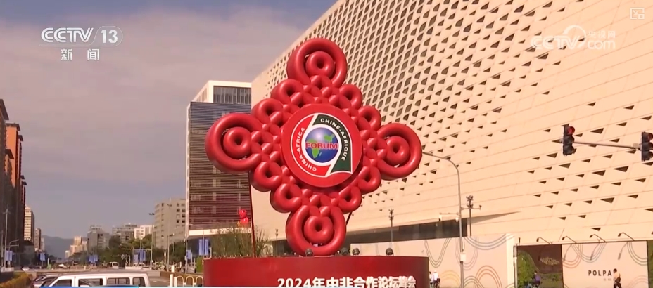 欢欣鼓舞 媒体人士期待中非合作更上一层楼