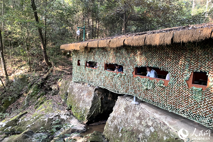 发布福建首份“护鸟令”的山区县，如何接住前所未有的“富贵”？
