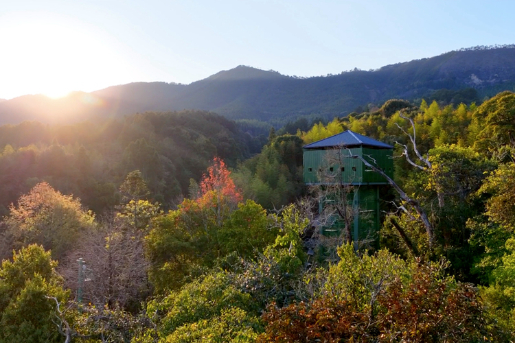 发布福建首份“护鸟令”的山区县，如何接住前所未有的“富贵”？