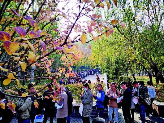 山东揽才 清华园长队排了一里路