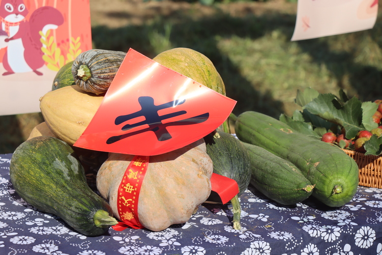 保定徐水区：“田间乐丰收，童趣满金秋”_fororder_IMG_9914.JPG