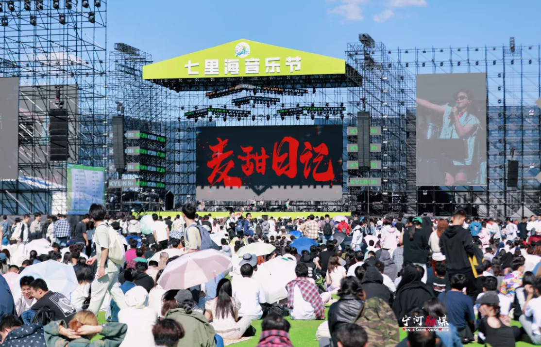 天津宁河七里海音乐节落幕_fororder_1
