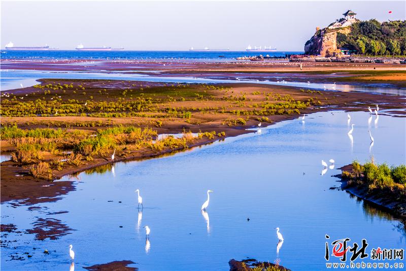 大河之北·海洋篇：千里海岸