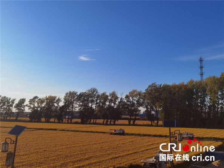 【稻花香里说丰年】前郭农垦红光农场：稻香四溢 走出现代农业新“稻”路