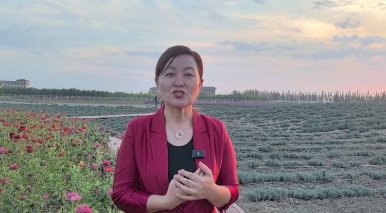 “铸牢共同体 中华一家亲”|哈靖：“我家里有五个民族，我最自豪我是中华民族的一份子”
