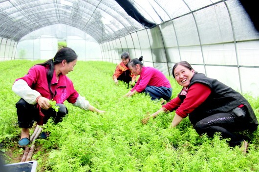 （要闻）孙志刚：贵州世代贫困的宿命正在被彻底改变