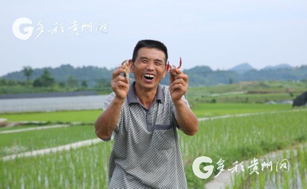 （中首）美了美了！贵州8村入选"国家级"最美休闲乡村名单