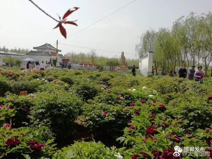 图片默认标题_fororder_3.webp