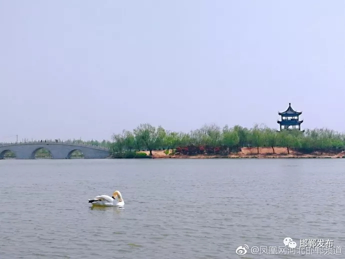 图片默认标题_fororder_5.webp