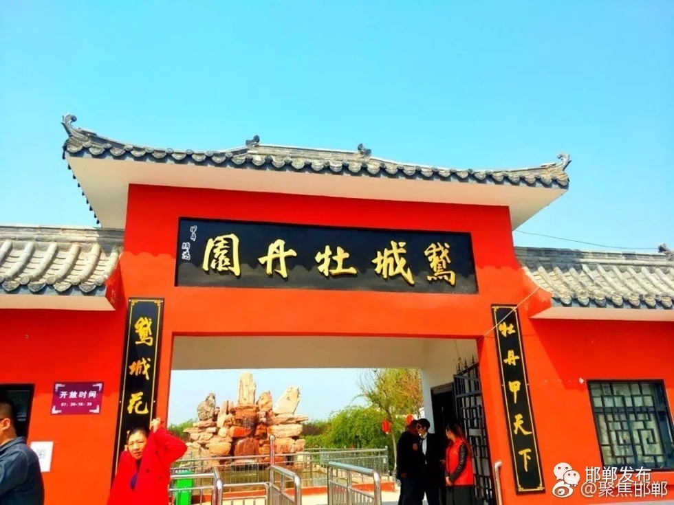 图片默认标题_fororder_1.webp