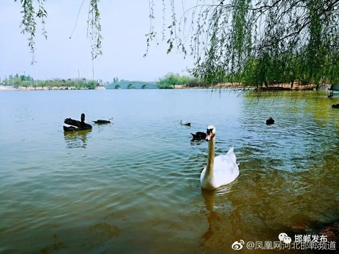 图片默认标题_fororder_6.webp