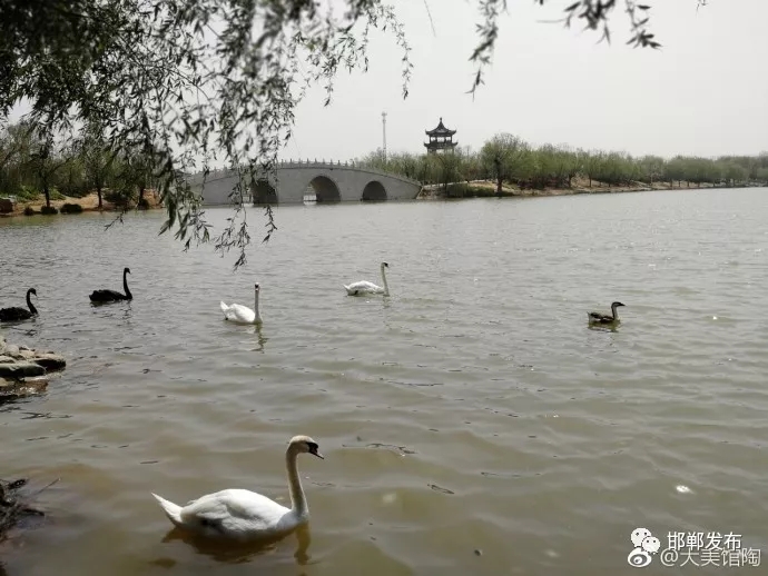 图片默认标题_fororder_7.webp