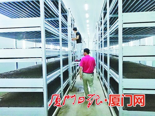 【滚动新闻】【厅局政情 列表】【地市 厦门】厦门角美吴宅村:  产业融合为引领 促进农民增收致富