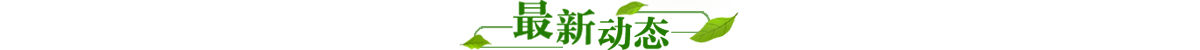 图片默认标题_fororder_593130914946391150