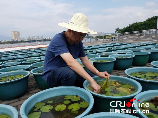 【福建好故事 列表】【滚动新闻】17载爱岗坚守 公园管理员李凡的闽江情结